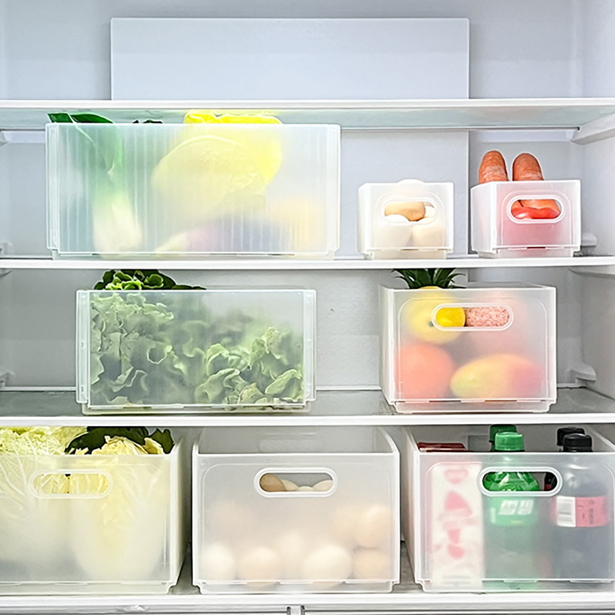 WORTHBUY Plastic Folding Fridg - Food Storage Without Plastic review and price