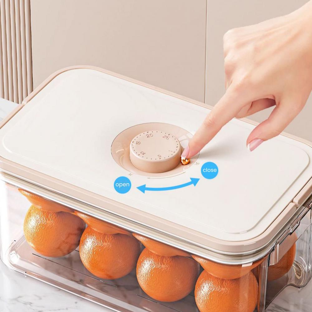 Storage Box with Pull-out Laye - Food Storage Without Plastic review and price