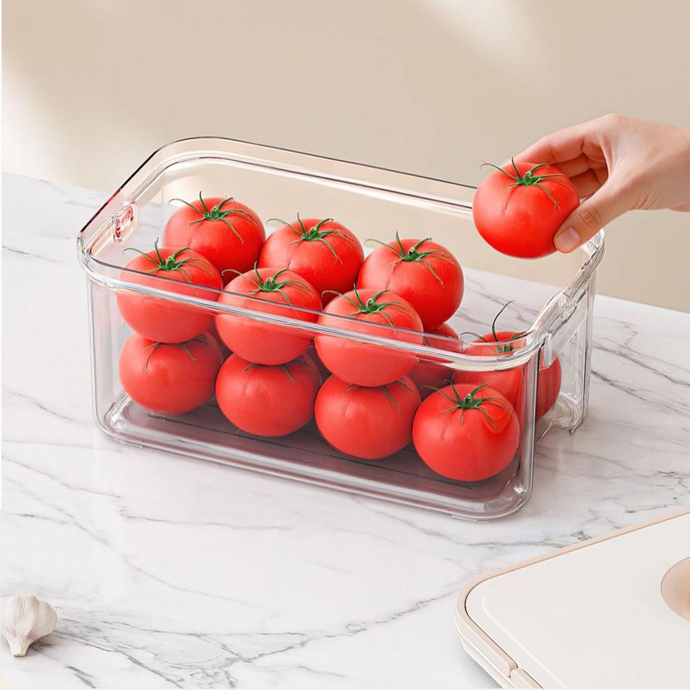 Storage Box with Pull-out Laye - Food Storage Without Plastic review and price