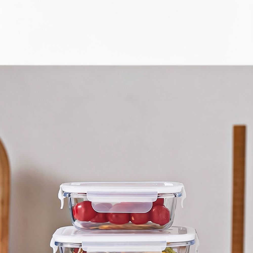 Microwave Safe Glass Bento Lun - Storage Food Prep review and price