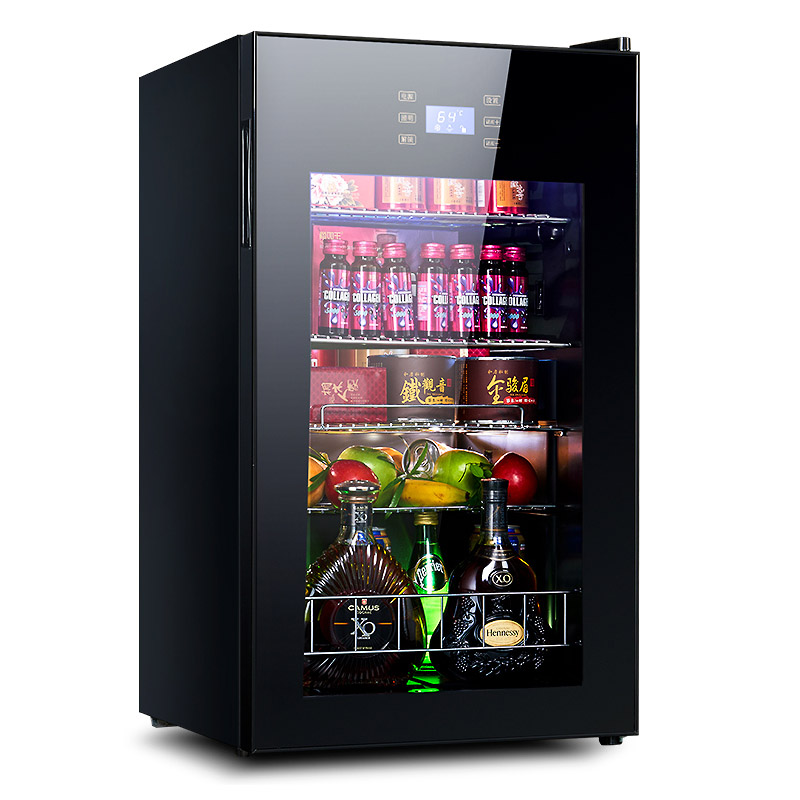 Cold Storage Refrigerator 95L  - Food Storage Zone review and price
